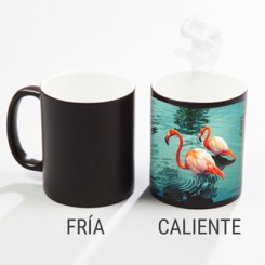 taza-magica.jpg